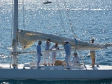 Tn CANNES ANTIBES 095